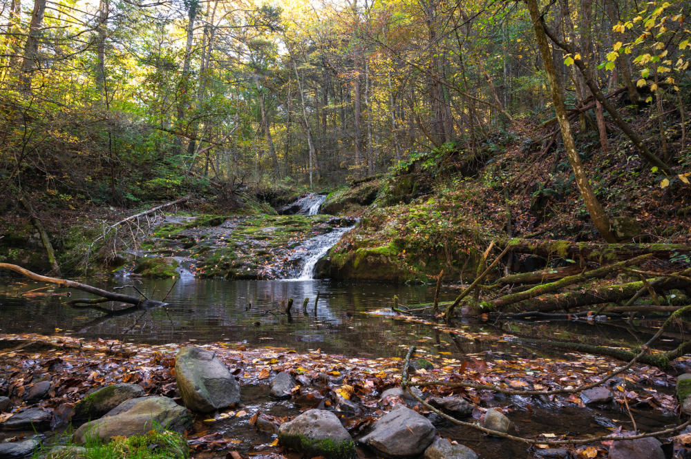 20211019_NL63852_TrustLandAcquistion_TannersRidge_nl A small waterfall on Tanners Ridge land.