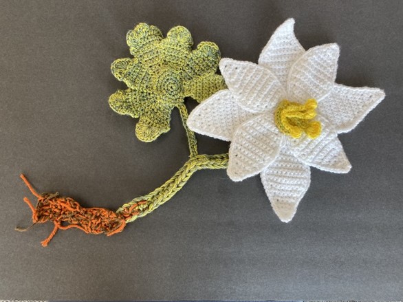 Madeline Talbert Bloodroot wildflower crochet art