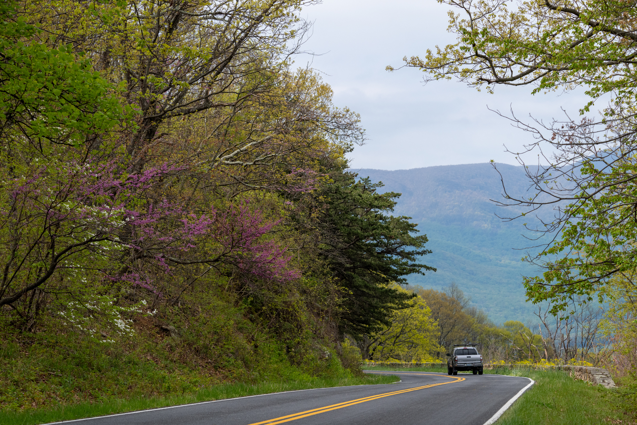 North District Skyline Drive GAOA Pavement Preservation A truck drives down a road. Green trees line either side of the road. Mountains in the distance.