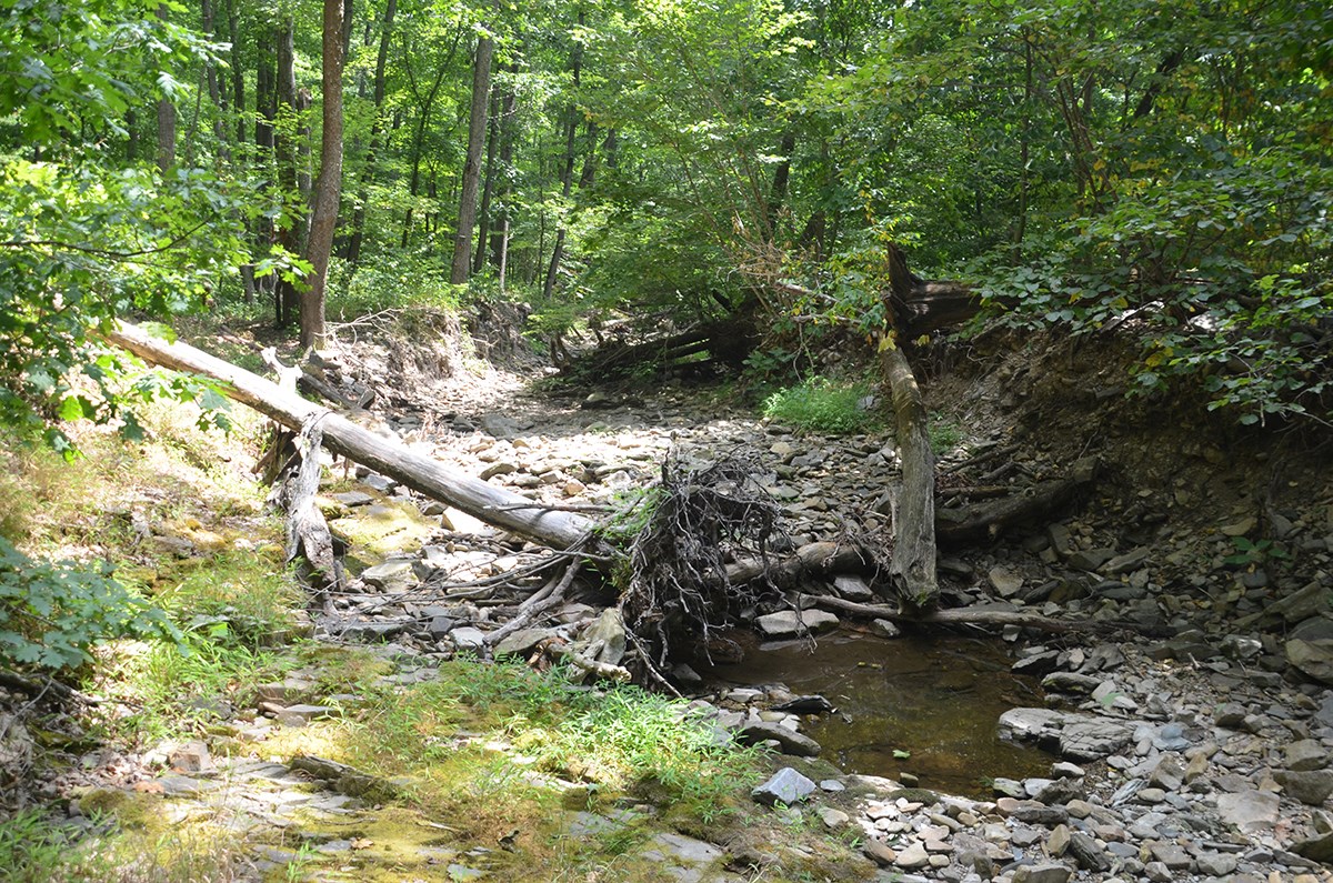 A dry and rocky riverbed Paine Run in the southern part of Shenandoah National Park, August 5, 2021