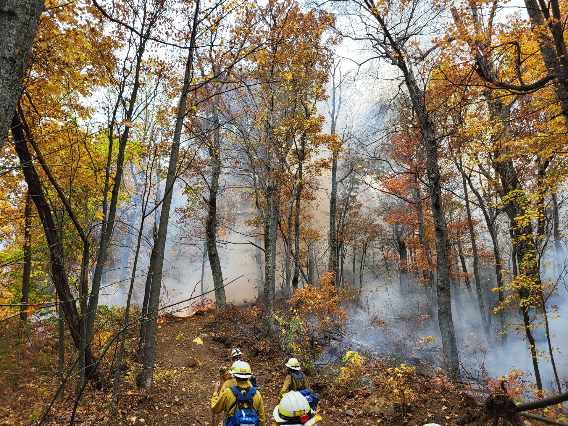 Firefighters on the dozer line for the Quaker Run Fire