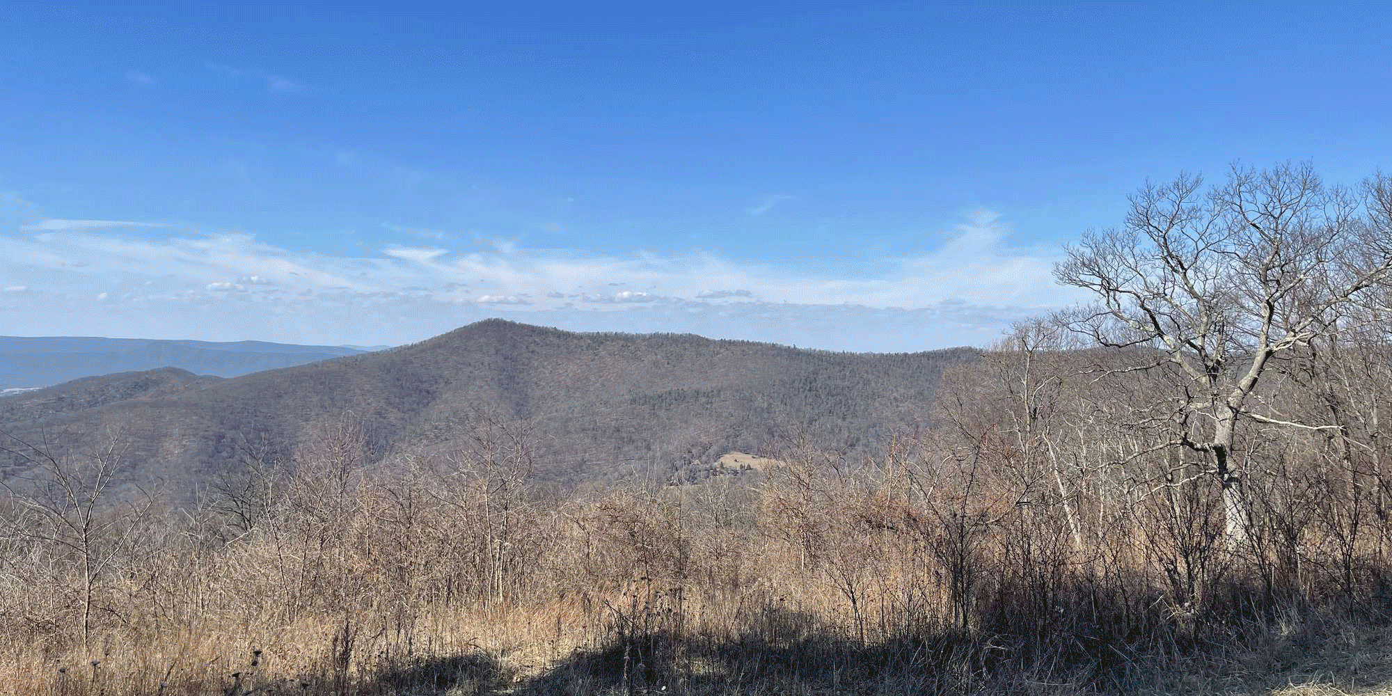 A timelapse of Pass Mountain Overlook, mile 30.1 of Skyline Drive, through the seasons.