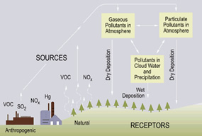 Schematic of acid deposition sources, transport, and receipt.