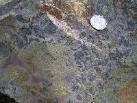 Flow breccia in greenstone.