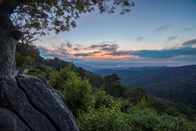 Sun rise of peach and blues beyond rock and forest.