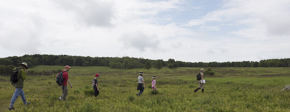 A volunteer leading a group of people into a meadow. A volunteer leading a group of people into a meadow.