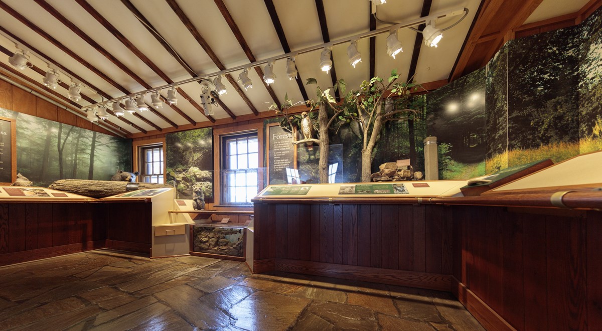 A interior open space with exhibit panels and dioramas around the walls. A interior open space with exhibit panels and dioramas around the walls.