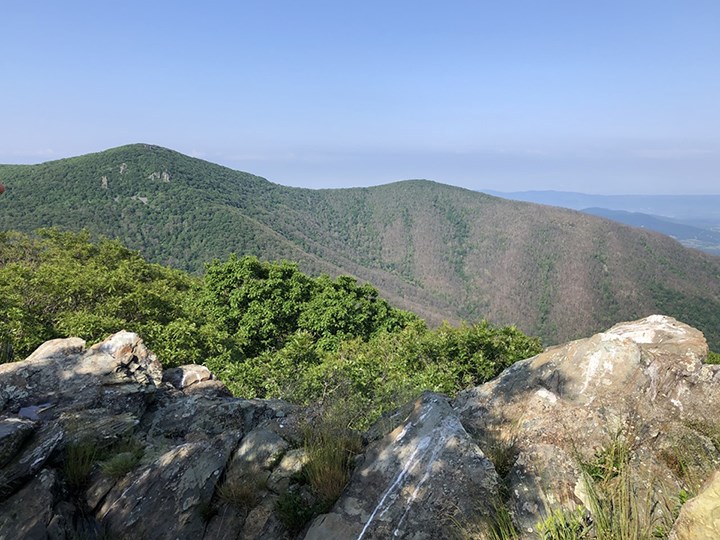 Defoliation on Hawksbill and Nakedtop Summits in SNP