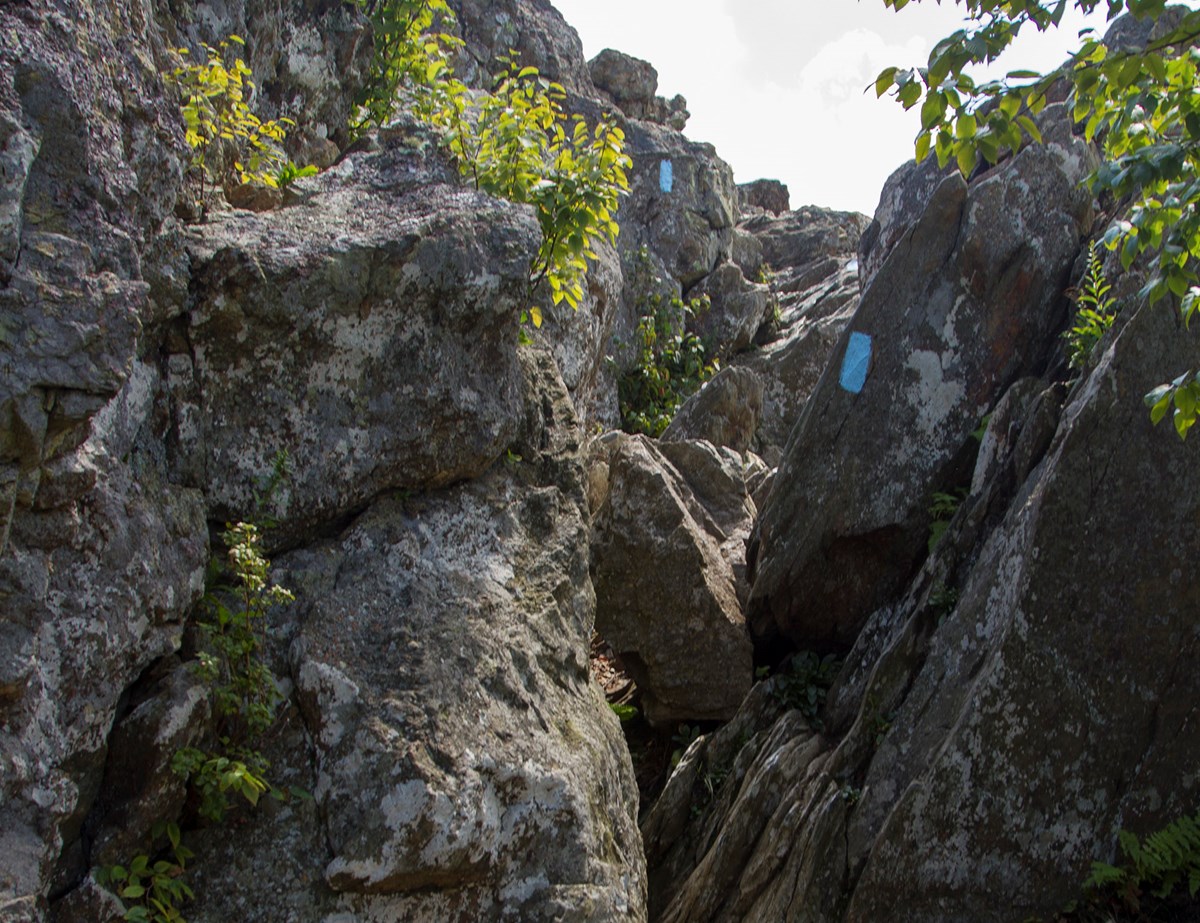 Bearfence Rocks Rocks with painted blue blazes on them.