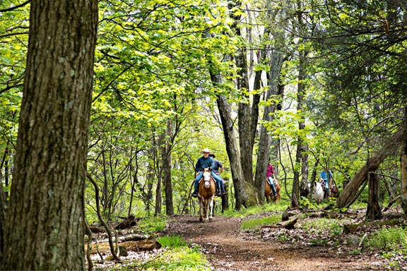 Horseback riding on one of the wooded trails in Shenandoah National Park. Horseback riding on one of the wooded trails in Shenandoah National Park.