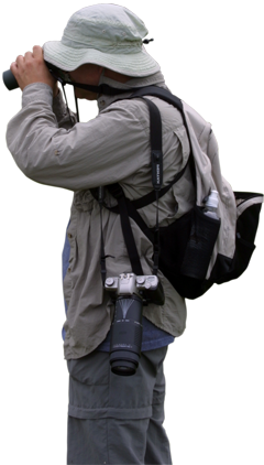 A visitor with binoculars and a camera enjoys birdwatching in Shenandoah. A visitor with binoculars and a camera enjoys birdwatching in Shenandoah.