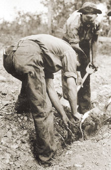 Historic photo of CCC workers planting a tree. Historic photo of CCC workers planting a tree.