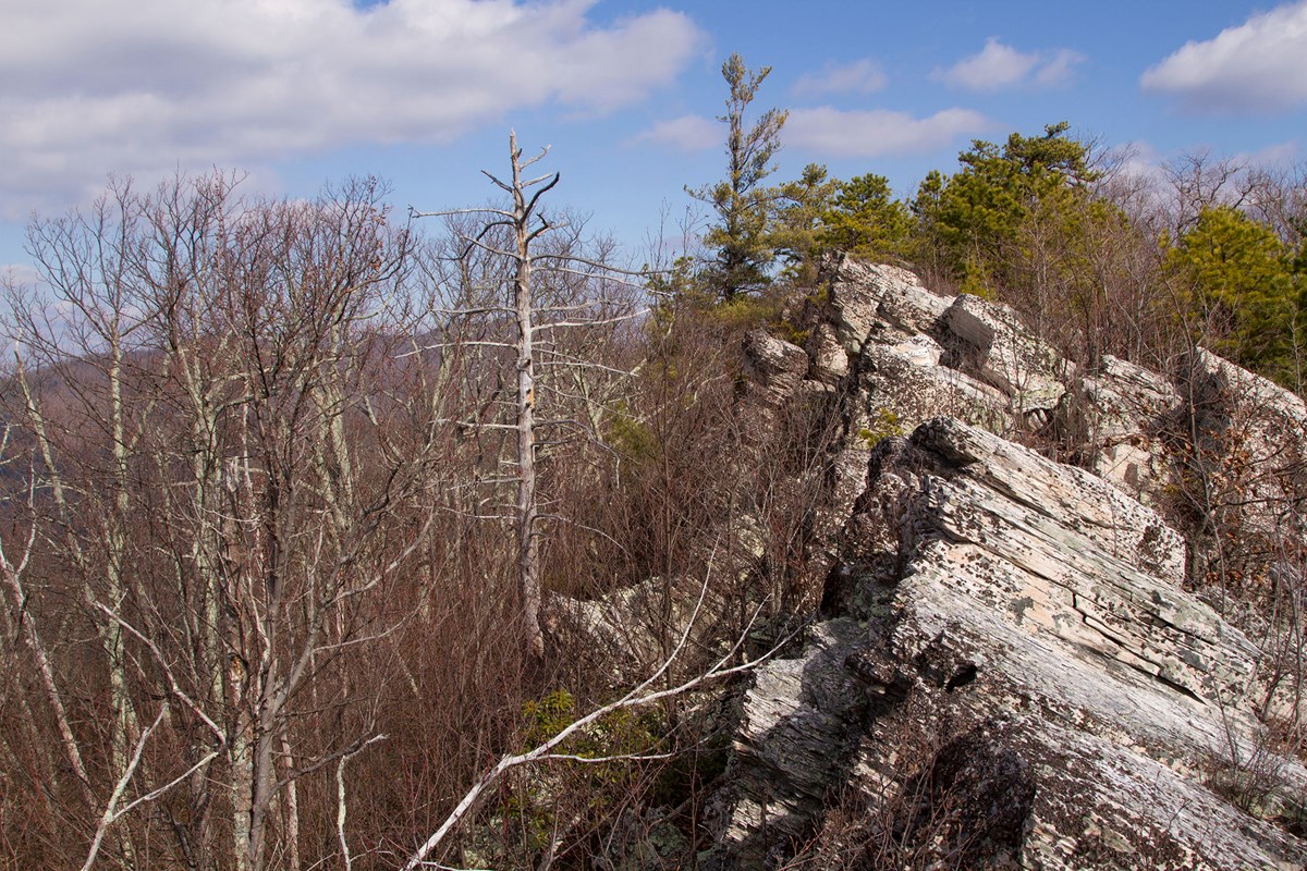 Chimney Rocks hike A large rock formation surrounded by bare trees.