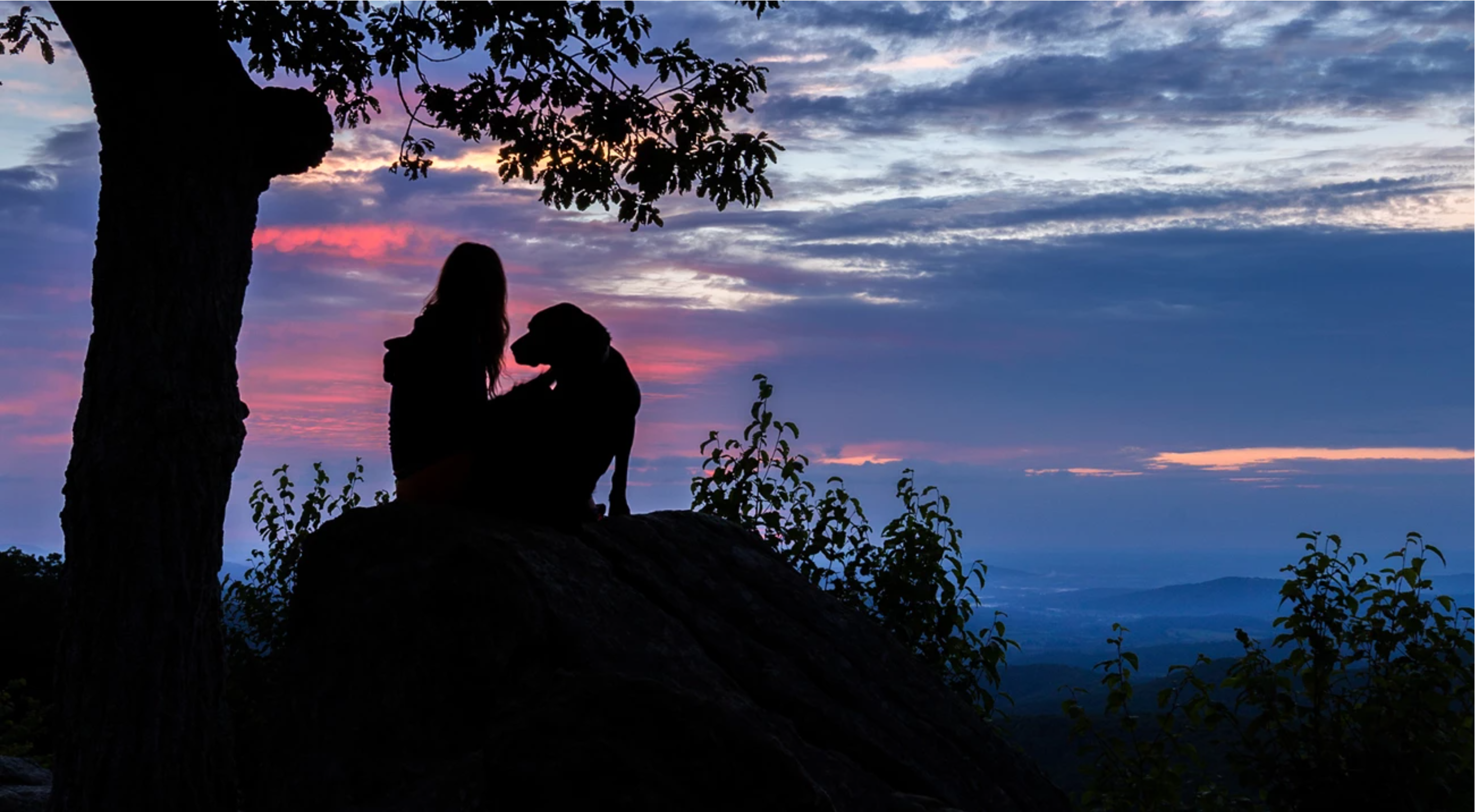 Girl sitting on rock with dog next to tree and red sunset in background, located in the Shenandoah National Park.