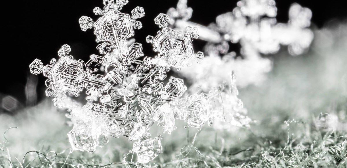 A close up of a snowflake against a dark background.