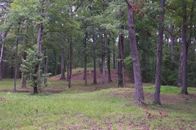 Shiloh Indian Mounds Shiloh Indian Mounds
