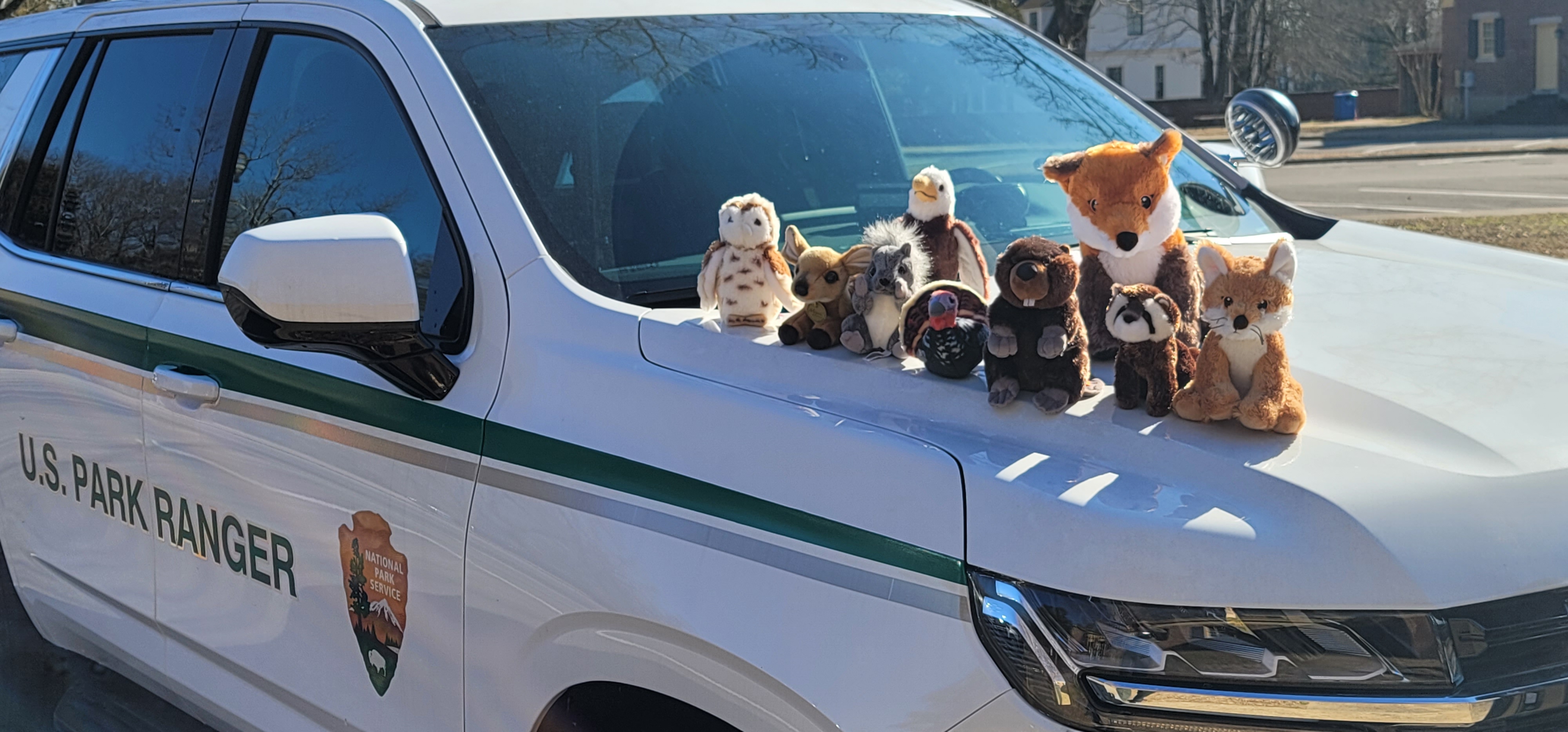 Shiloh Park Buddies on the hood of a Park Vehicle