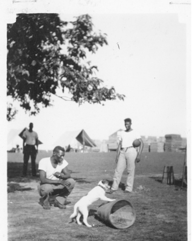 Black and with image of two men watching a dog