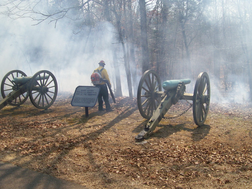 2014 burn at Shiloh