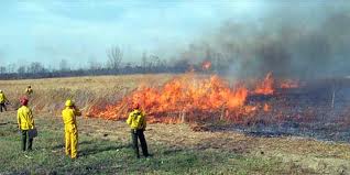 prescribed fire