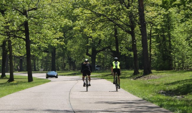 Two cyclists riding  on park road
