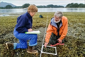 Two people on a rock and seaweed cover beach performing a vegetation survey.