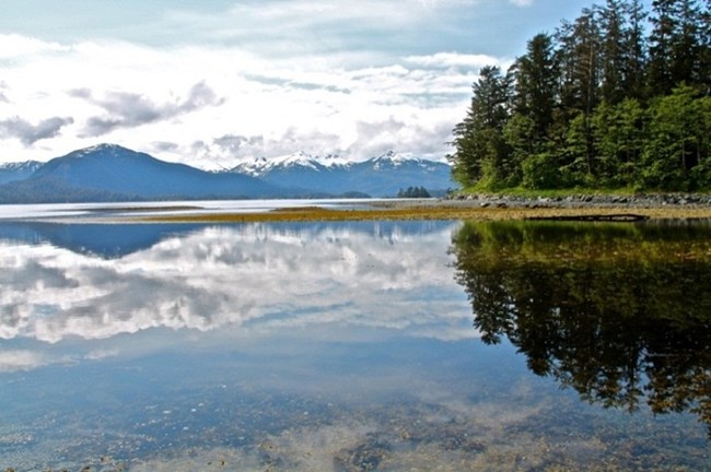 A forested headland on the right side extends out into smooth calm water with mountains and clouds in the background.