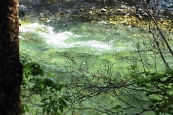 Pristine waters of Indian River