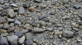 A view of the beach rocks A view of the beach rocks