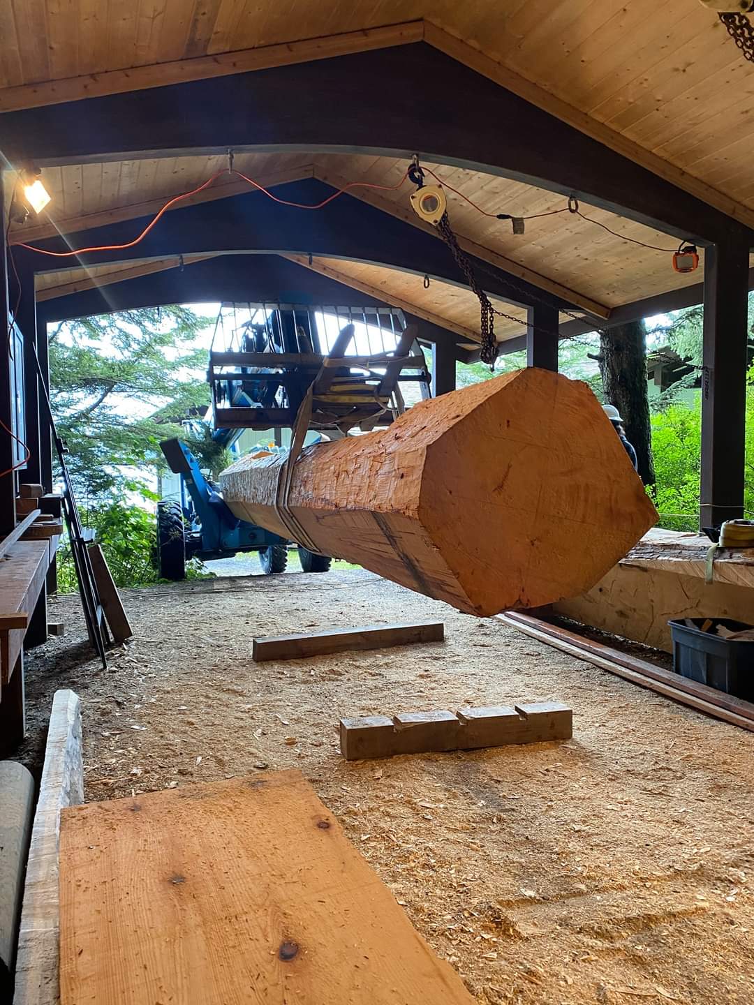 A 26 foot Sitka Spruce log is moved into an outdoor carving shed. A large log hangs from a blue fork lift inside a carving shed