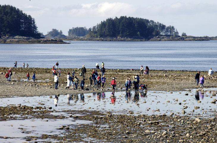 Exploring tide pools is a great way to learn about life in the ocean. People exploring tide pools