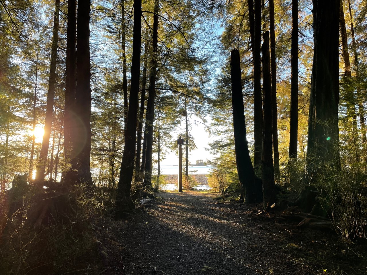 Totem Trail at Sunrise Totem pole at the end of a trail at sunrise