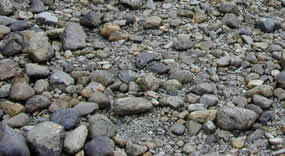 A view of the beach rocks