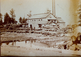 Aral Sawmill ca 1890