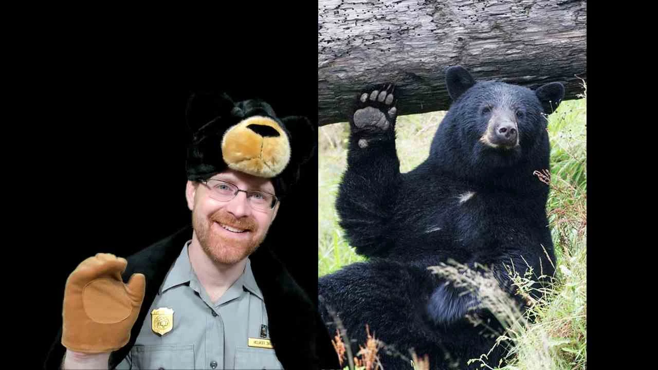 A ranger waves during a distance learning program. A smiling ranger wearing a black bear hat and paw-shaped mitten waves, next to a picture of a black bear waving.