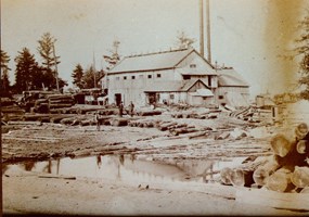 Aral Sawmill ca 1890