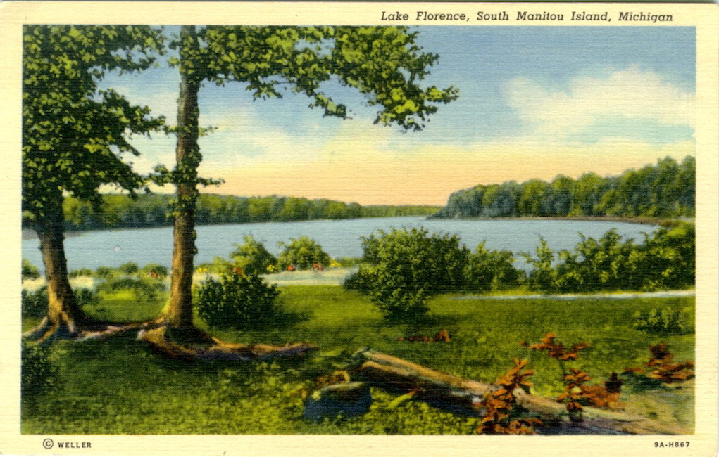 A postcard with an illustrated scene of a lake lined with trees. It is labeled 