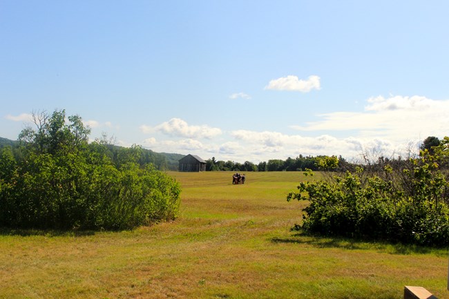 Red, horse-pulled wagon making its way in a yellow-green farm field with green bushes in the foreground