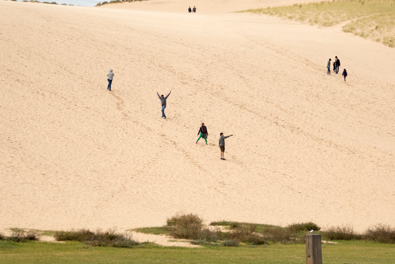 The Story of the Sand Dunes - Sleeping Bear Dunes National Lakeshore (U.S.  National Park Service)