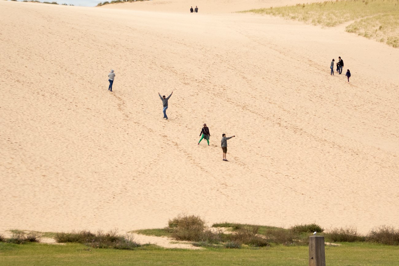Large sand dune fills frame; small dark figures run down the dune face.