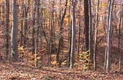 Nature and Science