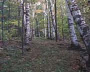 Nature and Science