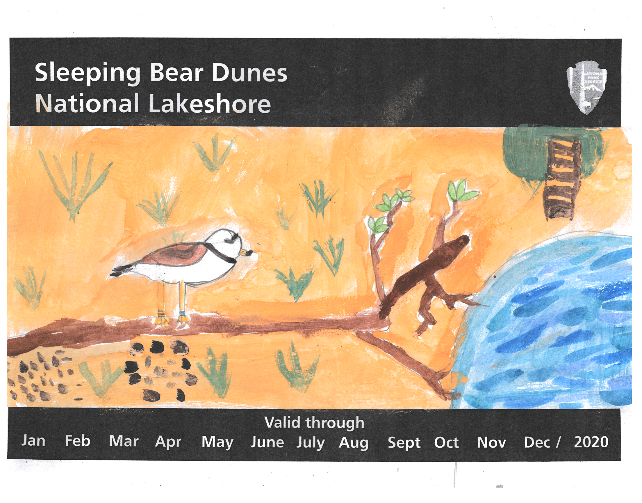 Winner of artwork contest Child's drawing of piping plover on beach