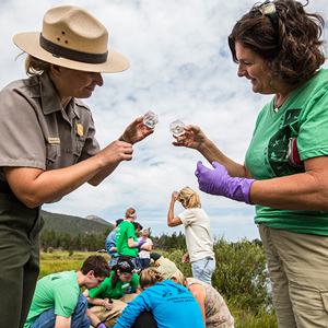 Collecting dragonfly larvae Park ranger and volunteer examine collected larvae