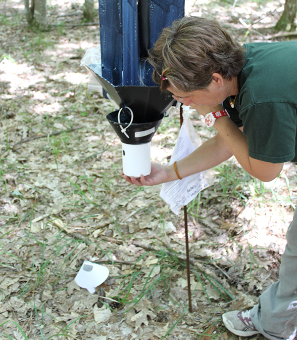 Dr-Tanis-Checks-Insect-Trap