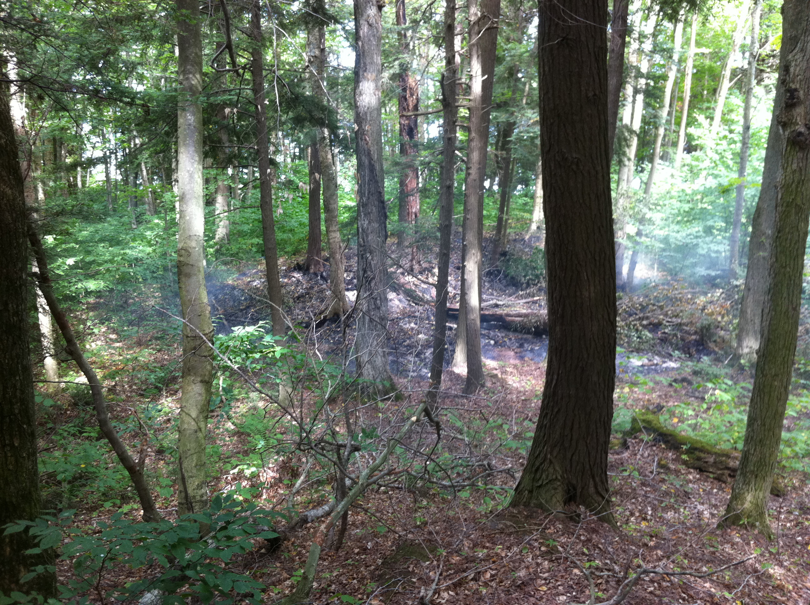 NMI-Small-Fire-8-2011
