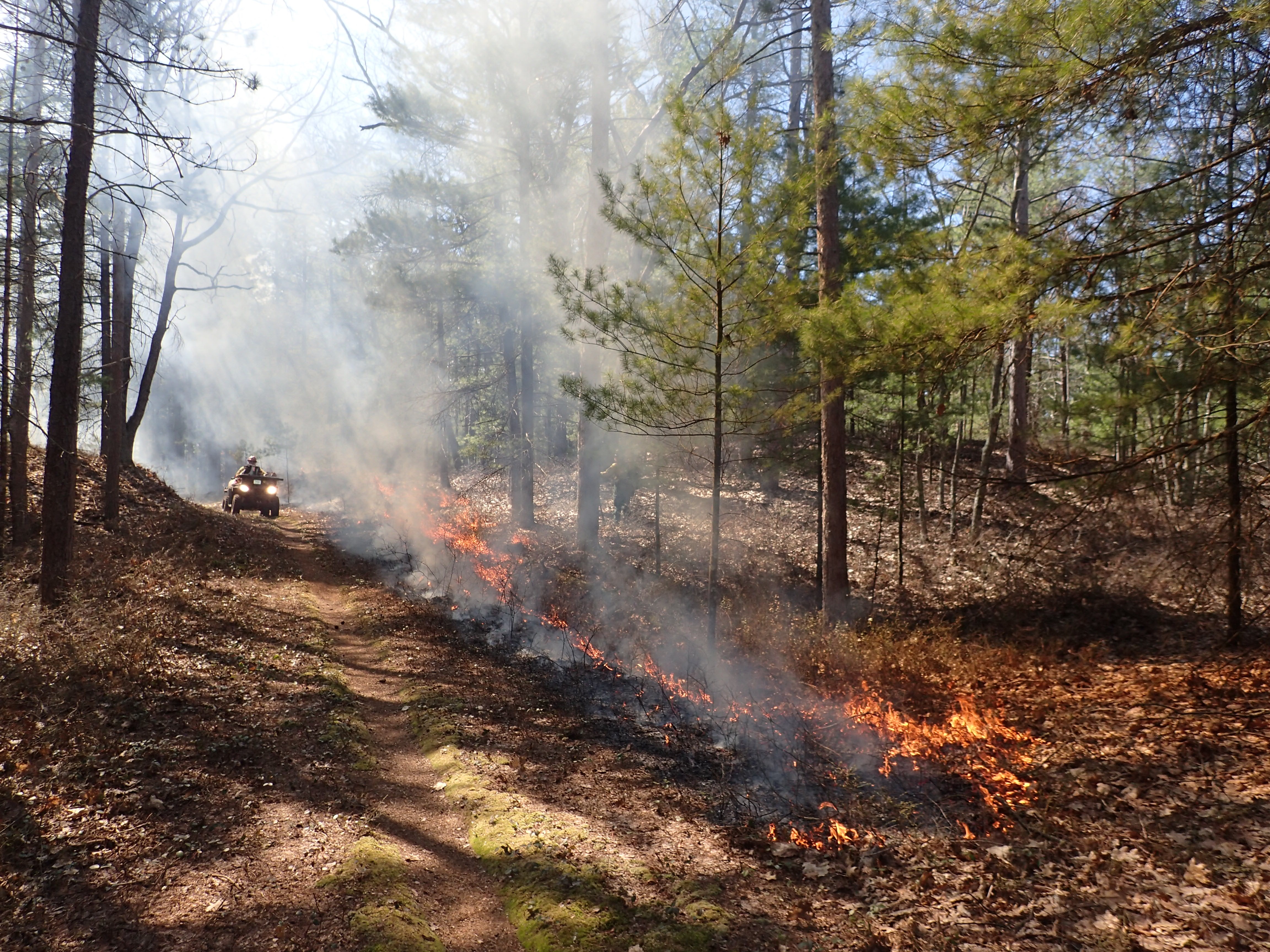Prescribed-Burn-Firefighter-Patrolling-Peterson- NPS firefighter on ATV driving along road next to small fire