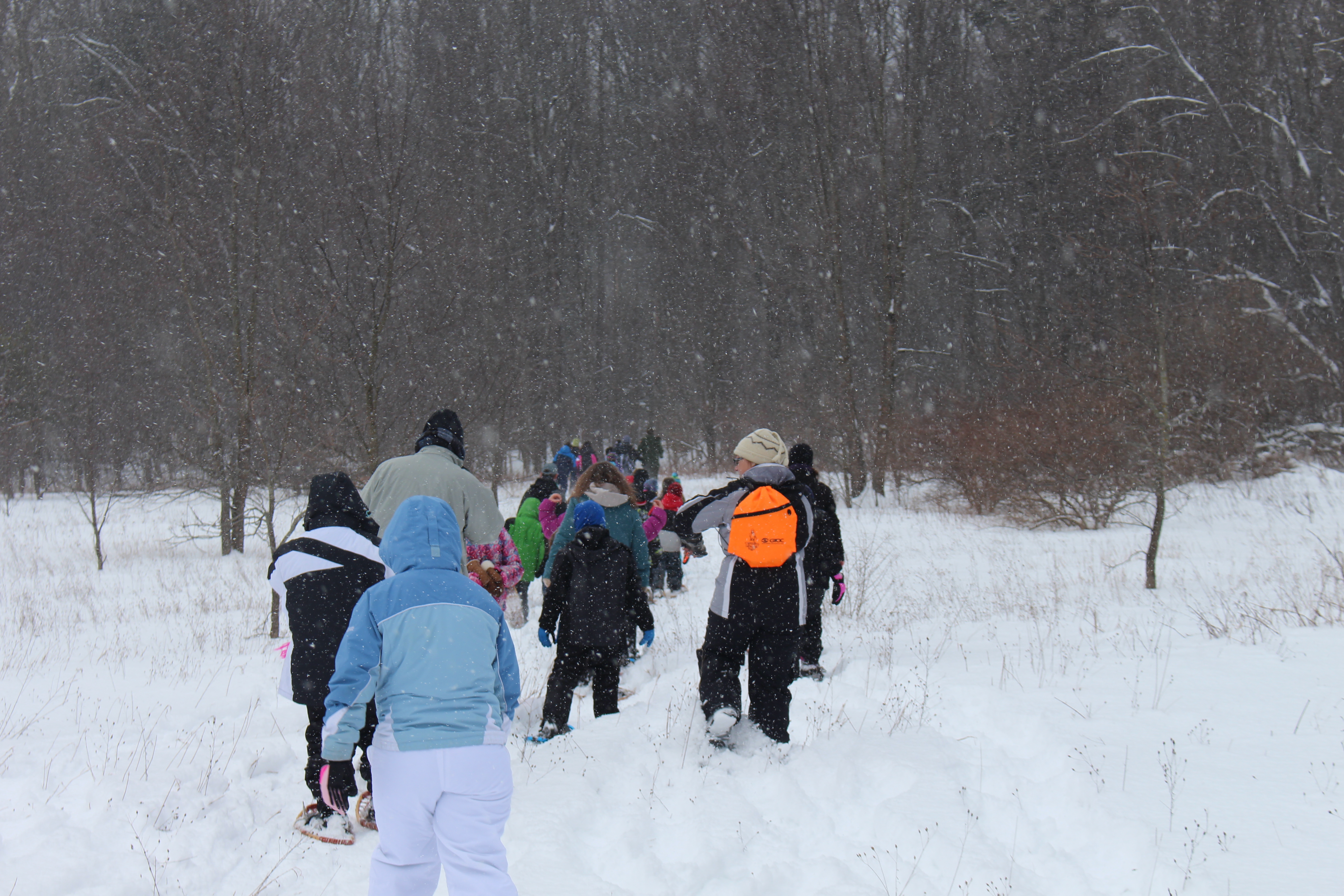 Winter-garbed hikers snowshoe through a woods