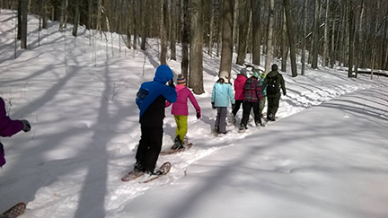 Students wearing snowshoes follow in a line behind a park ranger on a snowshoe hike.