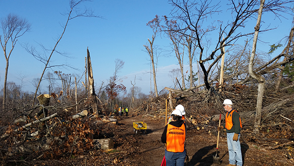Volunteers help clean up alligator hill tray